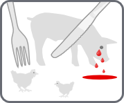icône viande.info représentant la souffrance animale