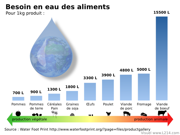 Effet de serre selon l'alimentation