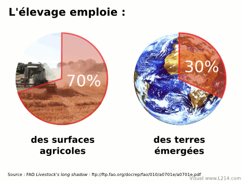 Ressources mondiales de l'élevage