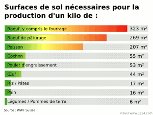 Schéma&nbsp;: surfaces nécessaires en fonction des aliments