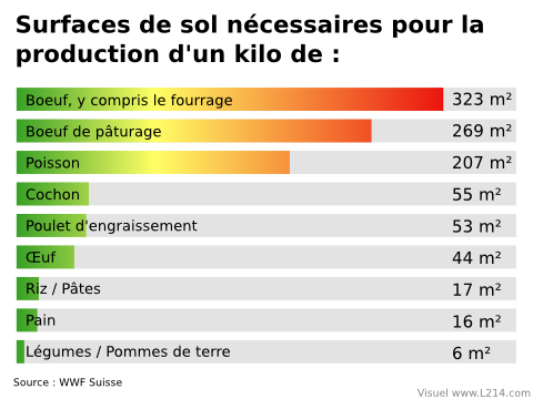 Schéma surfaces de sol nécessaires