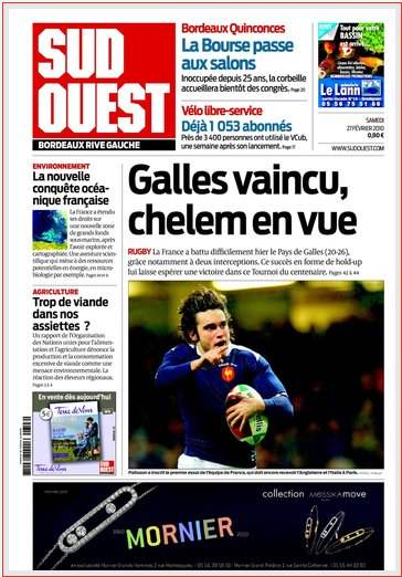Truie en stalle