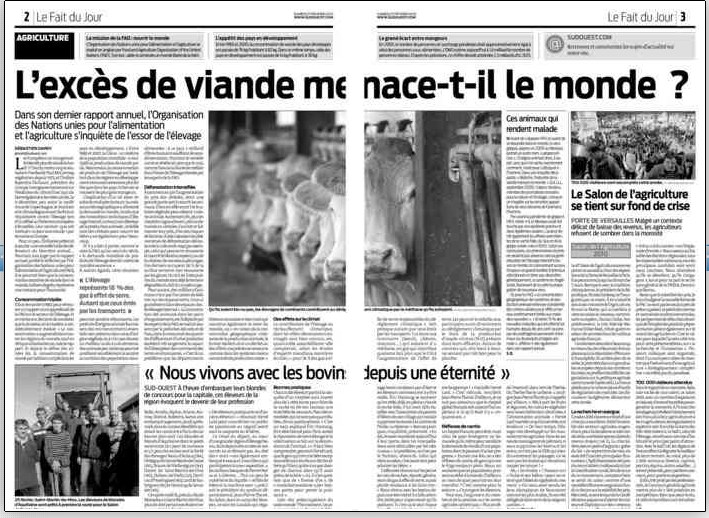 Truie en stalle