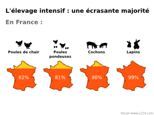 Effet de serre selon l'alimentation