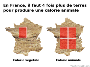 Effet de serre selon l'alimentation