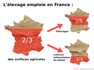 Effet de serre selon l'alimentation